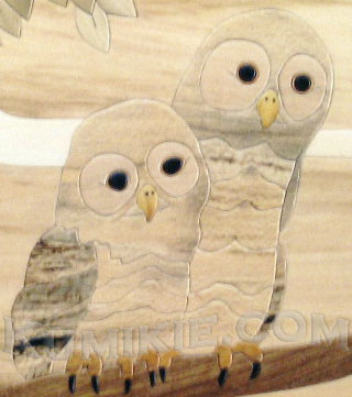 owl_pair1-clip